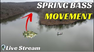 FTM Livestream #81 | Spring Bass Migration Explained