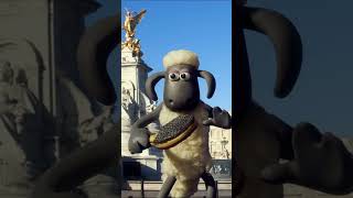 Epic Ping Pong🐑🐑🐑 #Shorts #Shaunthesheep  #Cartoonforkids #Animation  #Sports