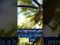 Python 🐍 programming #coding #javascript #chatgpt #shorts #viral