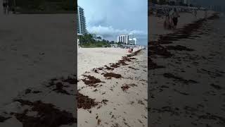My Miami Life is #live #sunnyflorida #miamibeach #livestream from Florida Beaches #ocean