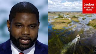 Byron Donalds: This Is Why It Is So Important To Work To Protect Florida's Environment
