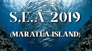 VLOG 04 Scary Drift Dive With Barracuda's at Maratua Island [INDONESIA]