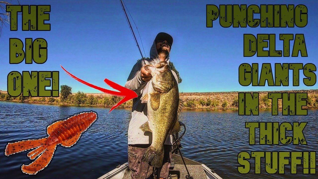 Пробиваем густую траву для дельта-гигантов | Рыбалка с пробиванием дельты | Рыбалка с лягушкой в ...