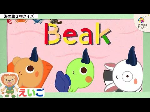 K☺︎VA　MiraiCo English Box 商品・価格 | Miraico English - ミライコイングリッシュ