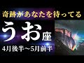【魚座4月後半〜5月前半】嵐は過ぎ去りました!ここからたくさんの幸せを味わうことができますよ〜!(タロット&オラクルカードリーディング)