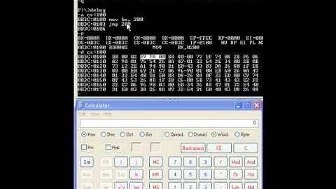Relative Addressing in Assembly Control Flow Instructions