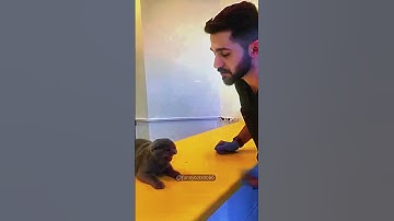 🎬 The Blooper Reel We Deserve #shorts #outtakes