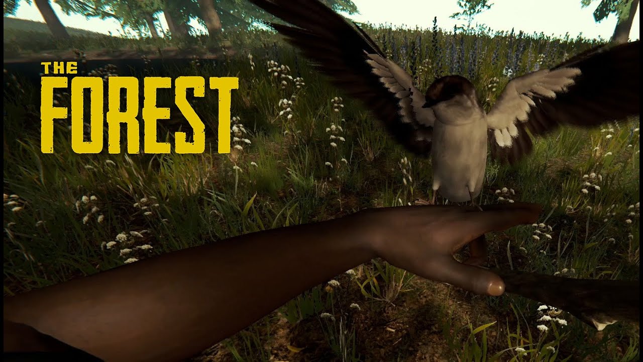 The Forest avec Solska - Épisode 1 : Moi j'adore partir à poil à l'aventure dans la forêt !