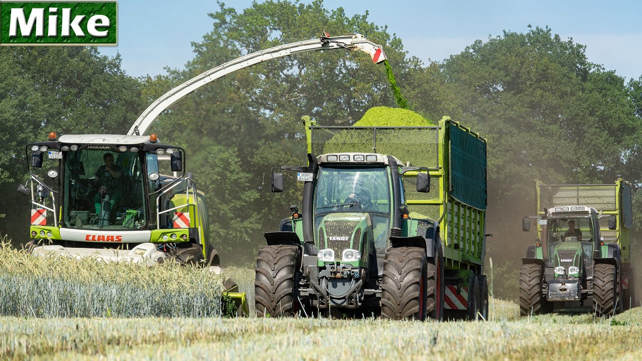 2020 | GPS Häckseln mit 5 Fendt Tractors | Lu Steenweg | Claas Jaguar 950 | Whole Crop Silage.