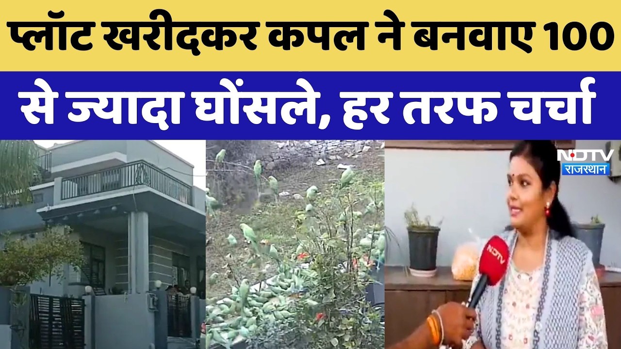 Rajsamand News: प्लॉट खरीदकर Husband-Wife ने 10 हजार पक्षियों का बनवाया आशियाना | Birds House