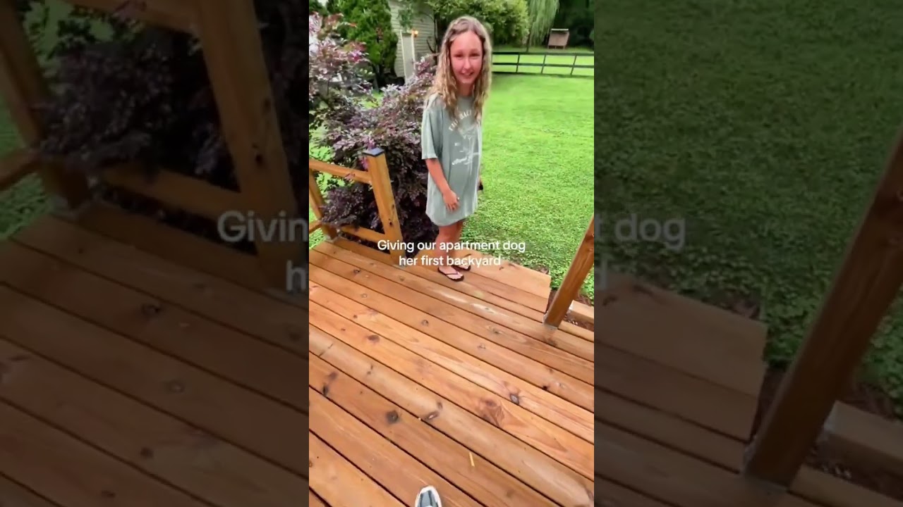 When an apartment Dog gets her first backyard.