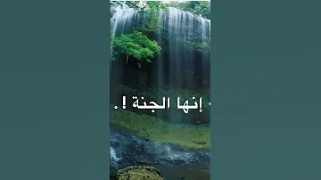 خالد الراشد انها الجنة 