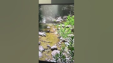 #سورة_الإخلاص #egzonibrahimi #ikhlas #quran #المصحف #القرآن_الكريم #nature #listen #اكسبلور