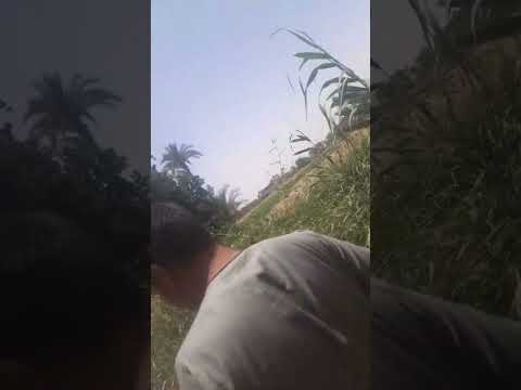 احمد سعد انا قادر في الصعيد المصري أحمد سعد الريف المصرى