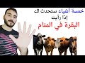 خمسة أشياء ستحدث لك إذا رأيت البقرة في المنام L تفسير حلم رؤية البقرة والبقر في المنام بالتفصيل 