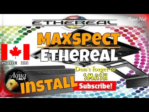 maxspect ethereal 101 part