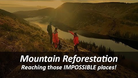 Reforestation by Drone  in the Scottish Mountains - We reach the IMPOSSIBLE places