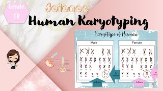 Human Karyotype ǀ Taglish