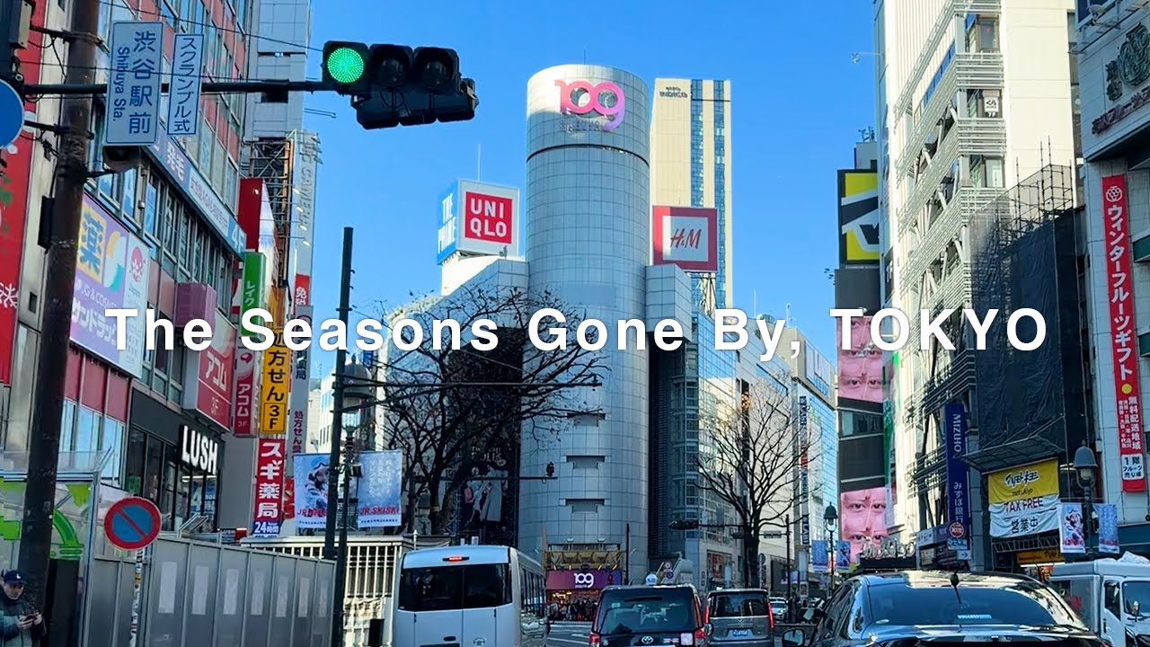 【TOKYO Drive】西新宿→渋谷→広尾→首都高速2号線｜Date R7.12.28｜🎥 iPhone 17 Pro HD 60fps｜🎧lofi & chill BGM｜作業用BGM・40分