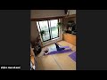6時20分からのオンラインLOVE yoga awake class 30min #朝ヨガ　#オンラインヨガ　#初めてのヨガ　#村上志乃