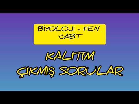 6. KALITIM ÇIKMIŞ SORULAR