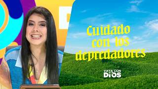¡Cuidado con los depredadores! - VCD. Ep. 1674