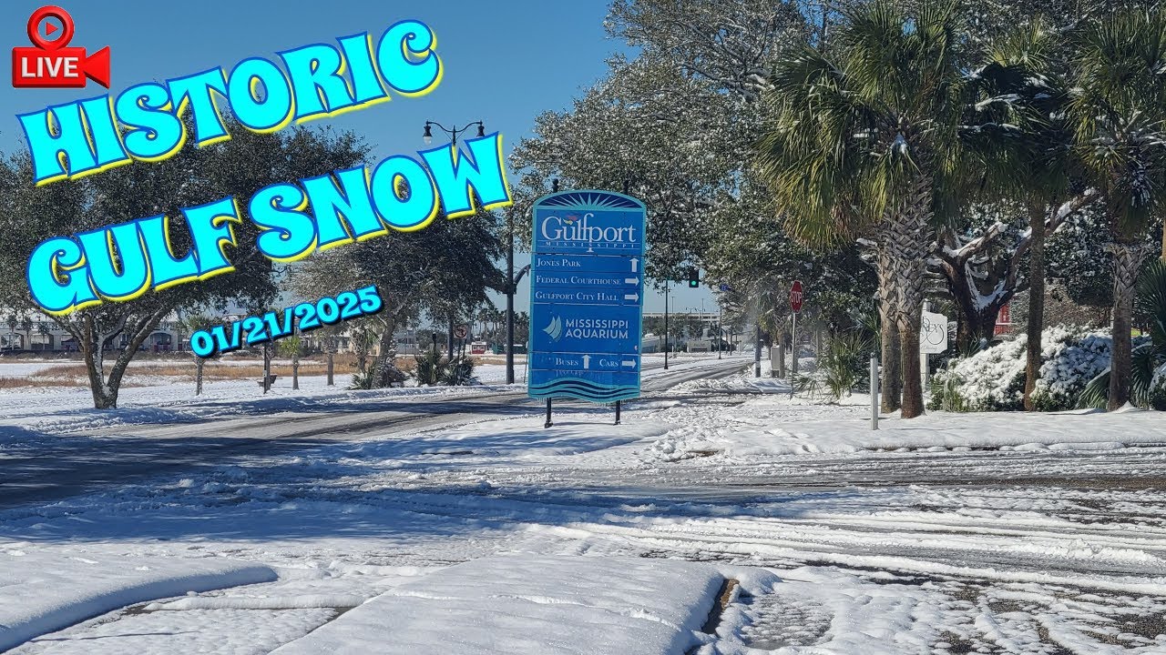 Snow and Palm Trees with Jen - Gulfport, Mississippi 1/21/2025 
