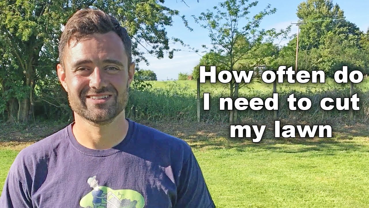 How Often Do I Need To Cut My Lawn YouTube How Often Do I Need To Cut My Lawn YouTube