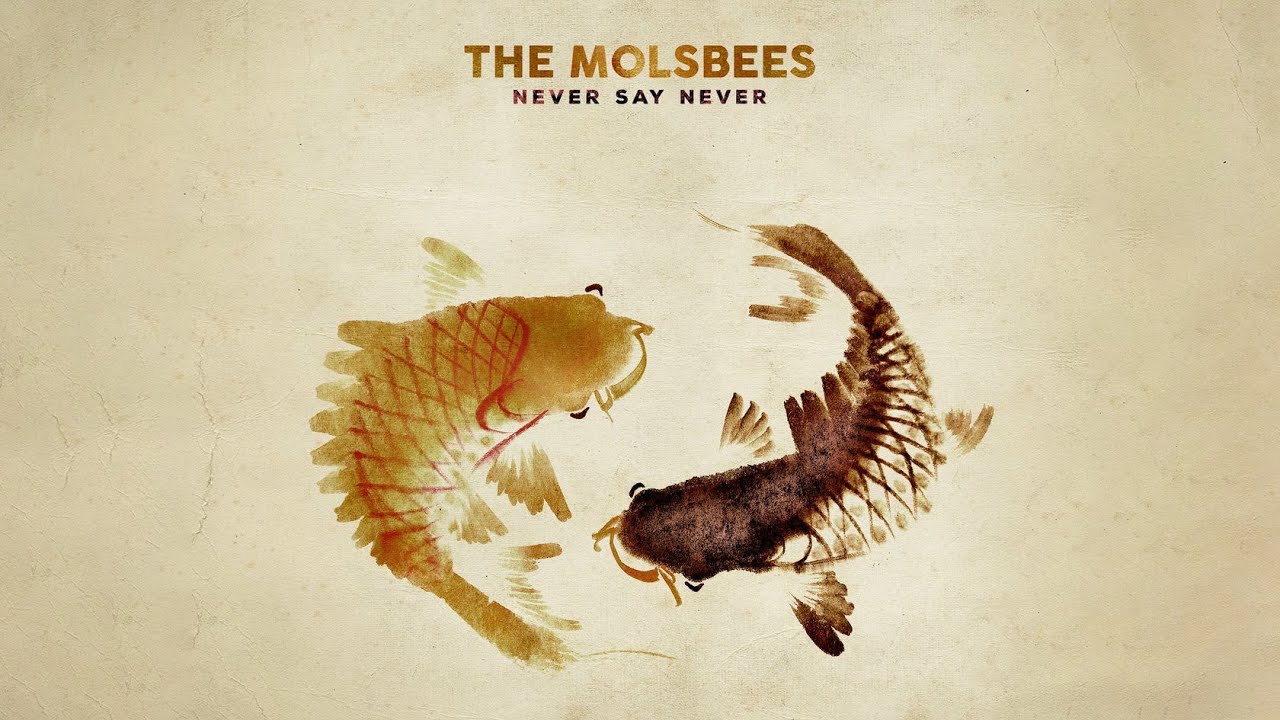 Never Say Never (Jazz Version) - Original By Justin Bieber - YouTube