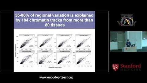 Using ENCODE to interpret mutational patterns in cancer genomes - Shamil Sunyaev