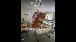 Pov Hoca Kankanla Sizi Ayırdı Ürkiye