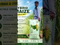 ACE SEEDS Faisalabad