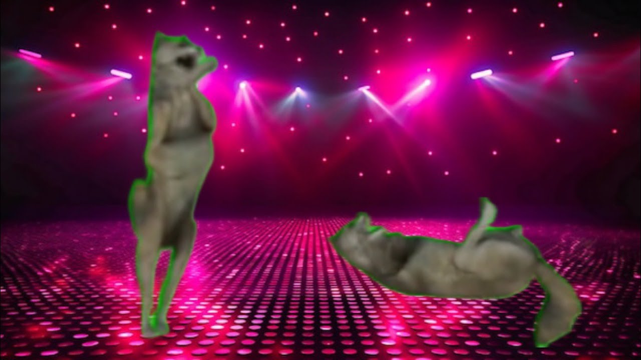 Dancing Wolf New Step 🐺