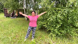 видео: Сняла дачу в Подмосковье 2022 ч.9🏡Шаховская - рынок, музей *Закупка от картинка: Сняла дачу в Подмосковье 2022 ч.9🏡Шаховская - рынок, музей *Закупка от