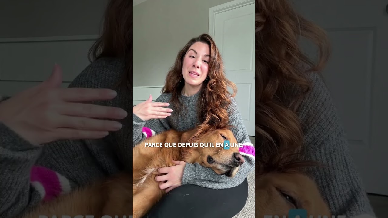 Protégez-les à prix mini  