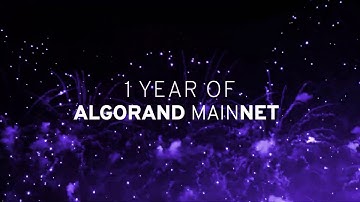 1 Year of The Algorand Blockchain MainNet!