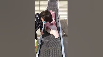 Belt conveyor, chemical fertilizer and cement feed, loading and unloading, no longer worry