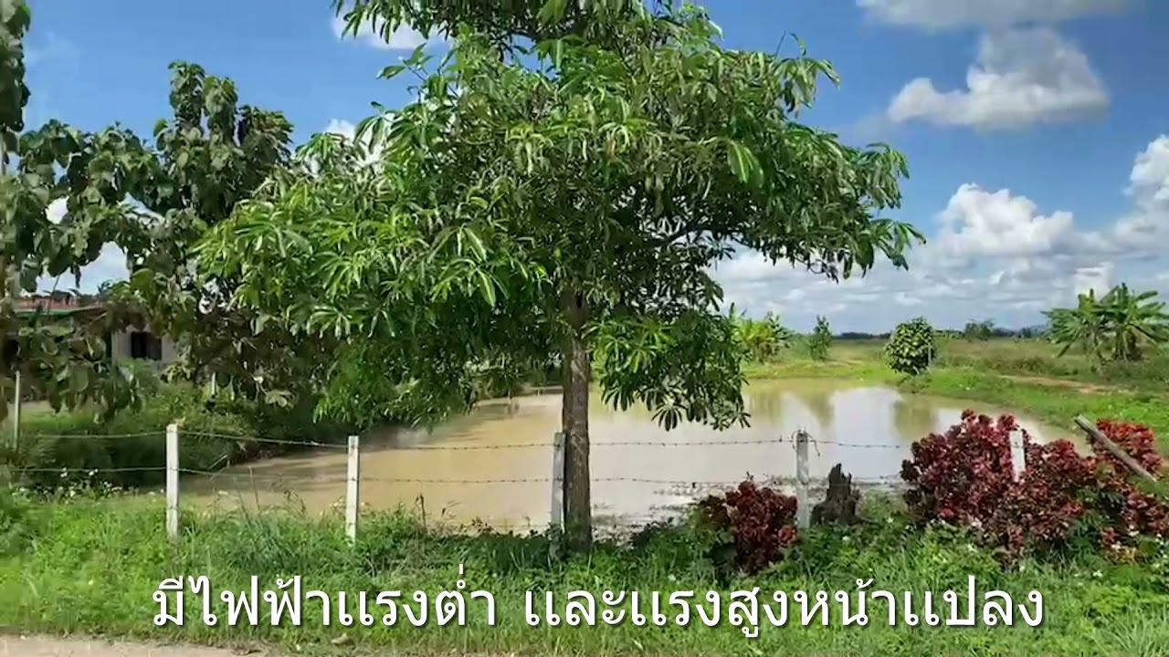 CR 05 8 85 550 000 YouTube cr-05-8-85-550-000-youtube