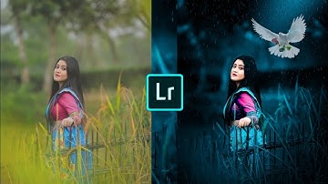Lightroom Blue And Bird Effect Photo Editing Tutorial | Lightroom Background Colour Change Tricks