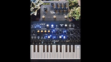 Chill Ambient Jam using Arturia MicroFreak and Strymon TIMELINE