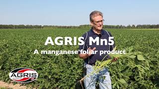 AGRIS Mn5 foliar application - Dale Cowan at the AGRIS MiField Technology Site in 2021