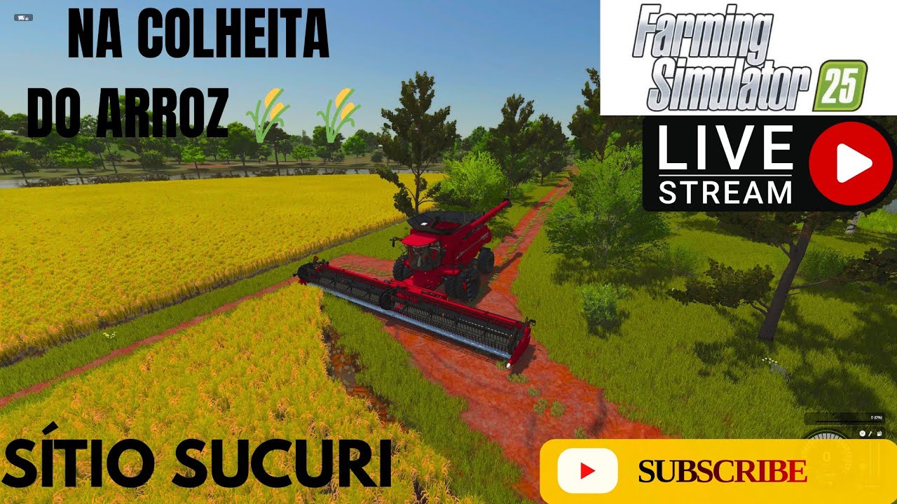 Farming simulator 25 | sítio sucuri  | na colheita do arroz