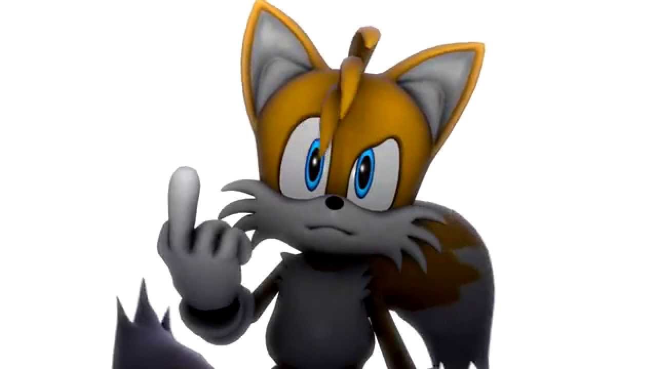 To the Sonic Fanbase...