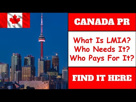 Who Pays For Lmia
