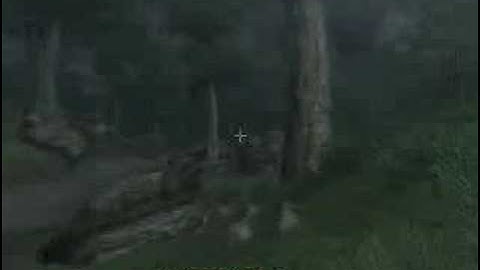 TES IV Oblivion Clip - Weather Effects