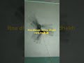Fan ###new Short @@ virel video