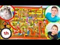 1H DE LABYRINTHE GÉANT POUR HAMSTER 🐹 (Compilation Swan et Néo)