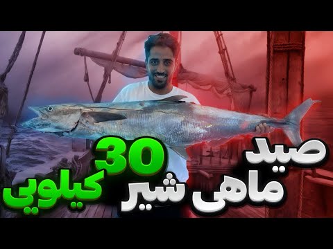 صید ماهی شیر بزرگ با قلاب به روش ترولینگ در خلیج فارس جزیره کیش