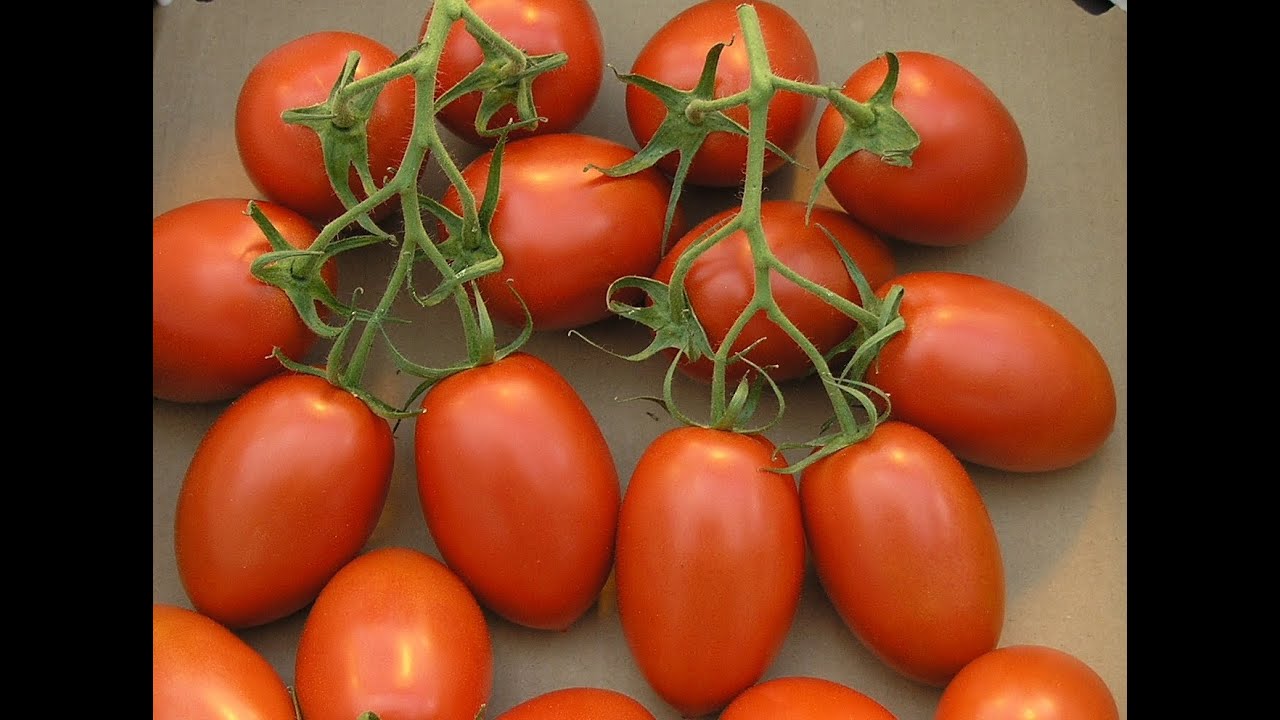 Quick Easy Sliced Diced Tomato Cubes YouTube