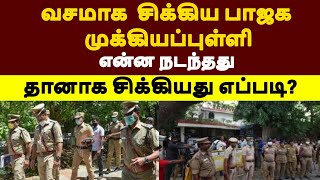 வசமாகசிக்கிய பாஜக முக்கியப்புள்ளி என்ன நடந்தது தானாக சிக்கியது எப்படி?|PJP#politics #annamalai #dmk